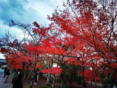 初学日语入门之偏旁与读音