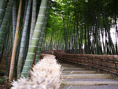 零基础学习日语整千数字的读音规律