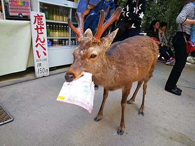 日语入门须知最全的年月日星期巧记方法