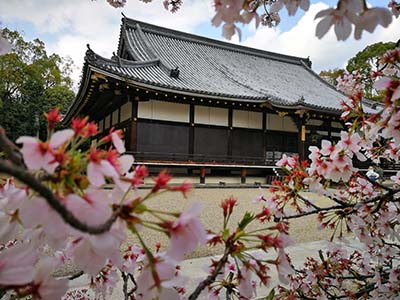 日语初级入门学习方法建议