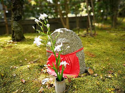 初学者需要知道的日语入门阶段常见问题