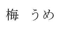 日语汉字全民性书写十大错误总结