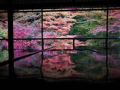 日语初学者怎样才能拿下日语五十音图