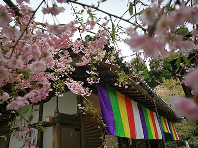 这些自学日语方法必须学起来